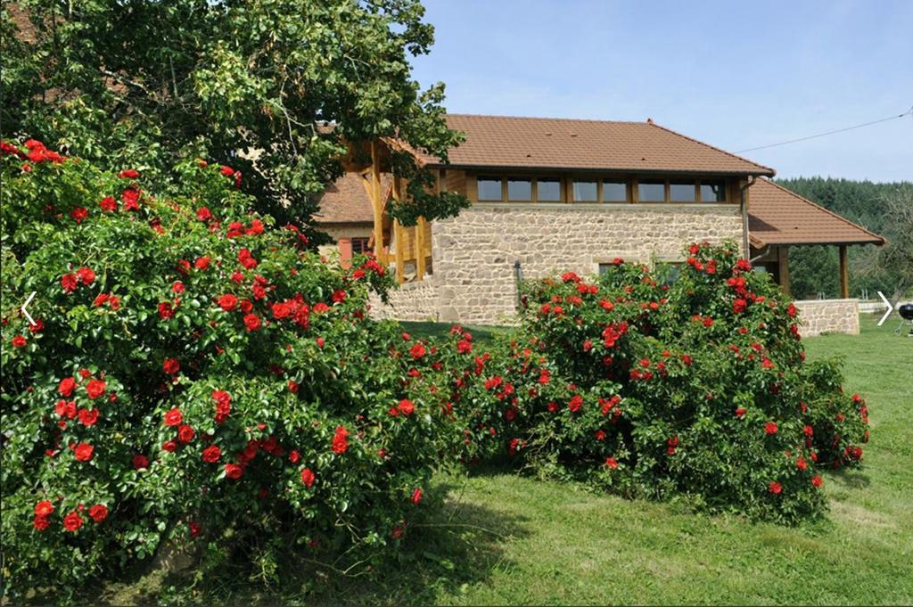 Les Perruchons Ancienne Grange Renovee Avec Soin Villa Ozolles Kamer foto