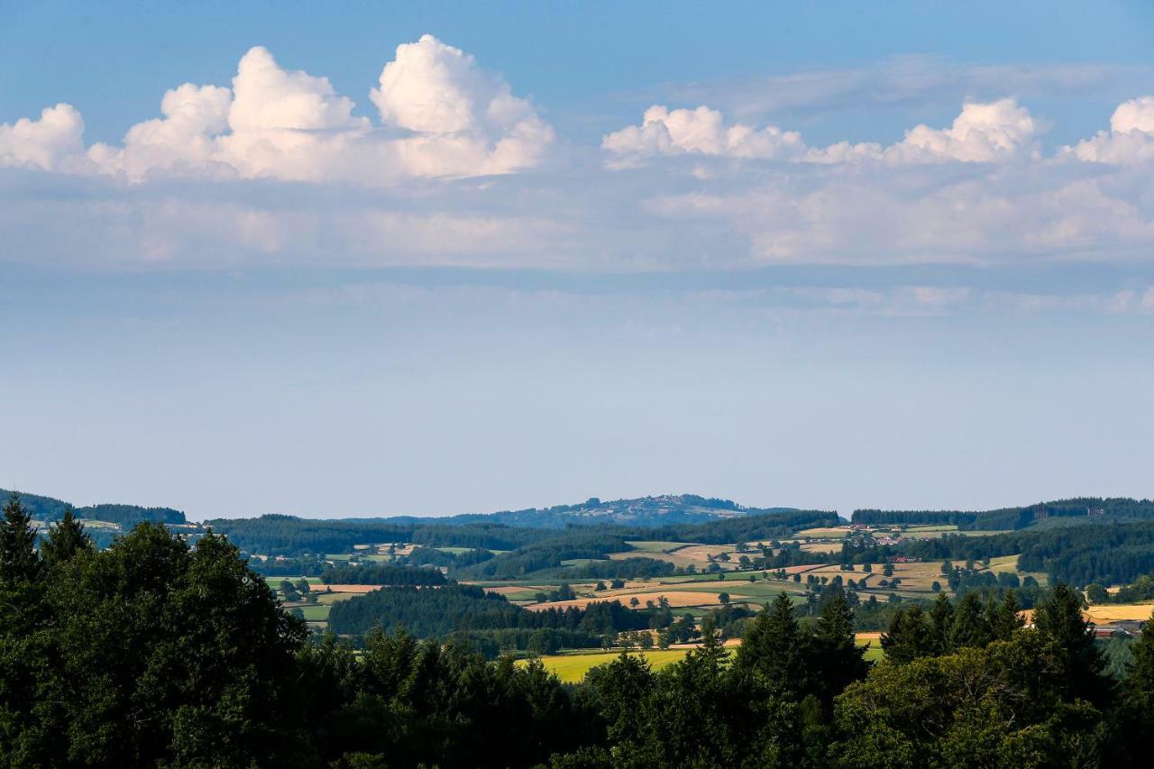 Les Perruchons Ancienne Grange Renovee Avec Soin Villa Ozolles Buitenkant foto