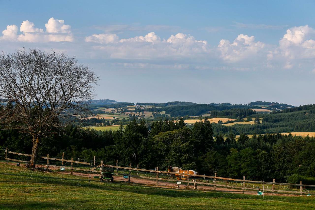 Les Perruchons Ancienne Grange Renovee Avec Soin Villa Ozolles Buitenkant foto