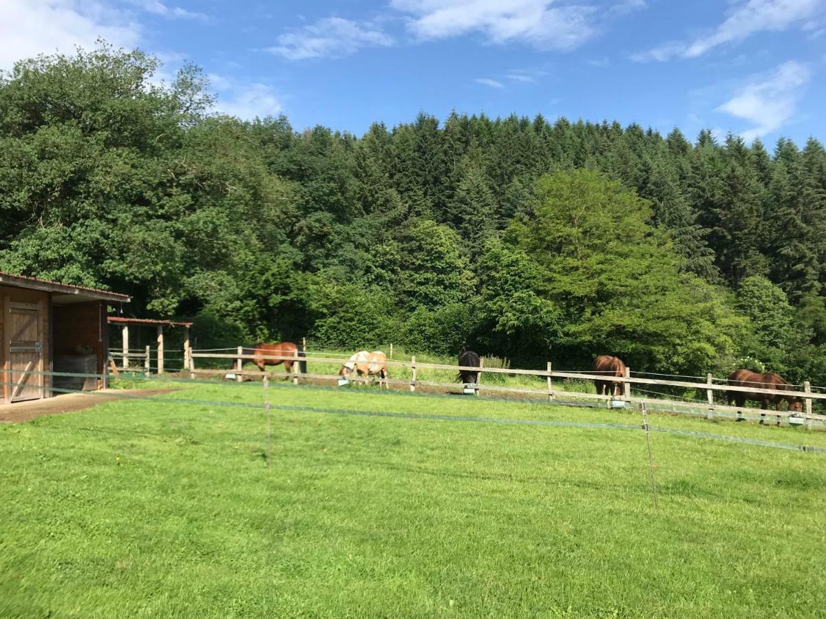 Les Perruchons Ancienne Grange Renovee Avec Soin Villa Ozolles Buitenkant foto