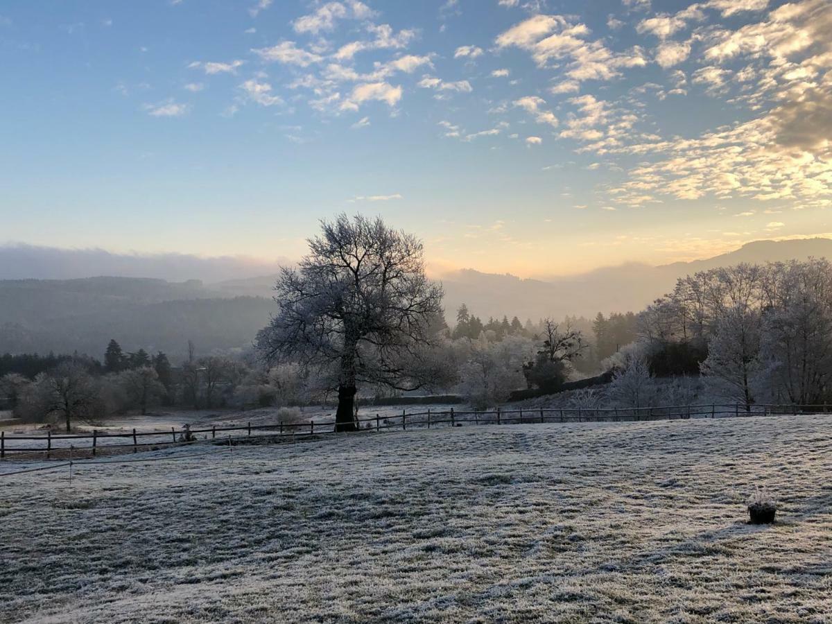 Les Perruchons Ancienne Grange Renovee Avec Soin Villa Ozolles Buitenkant foto