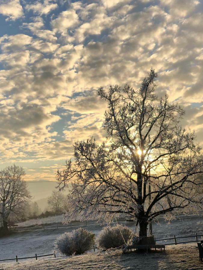Les Perruchons Ancienne Grange Renovee Avec Soin Villa Ozolles Buitenkant foto